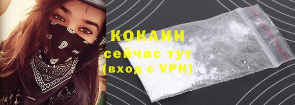 сатива Абаза