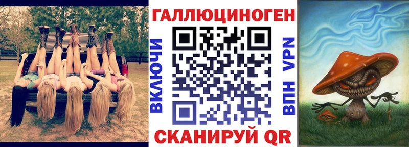 где найти наркотики  Заволжье  Галлюциногенные грибы Cubensis 