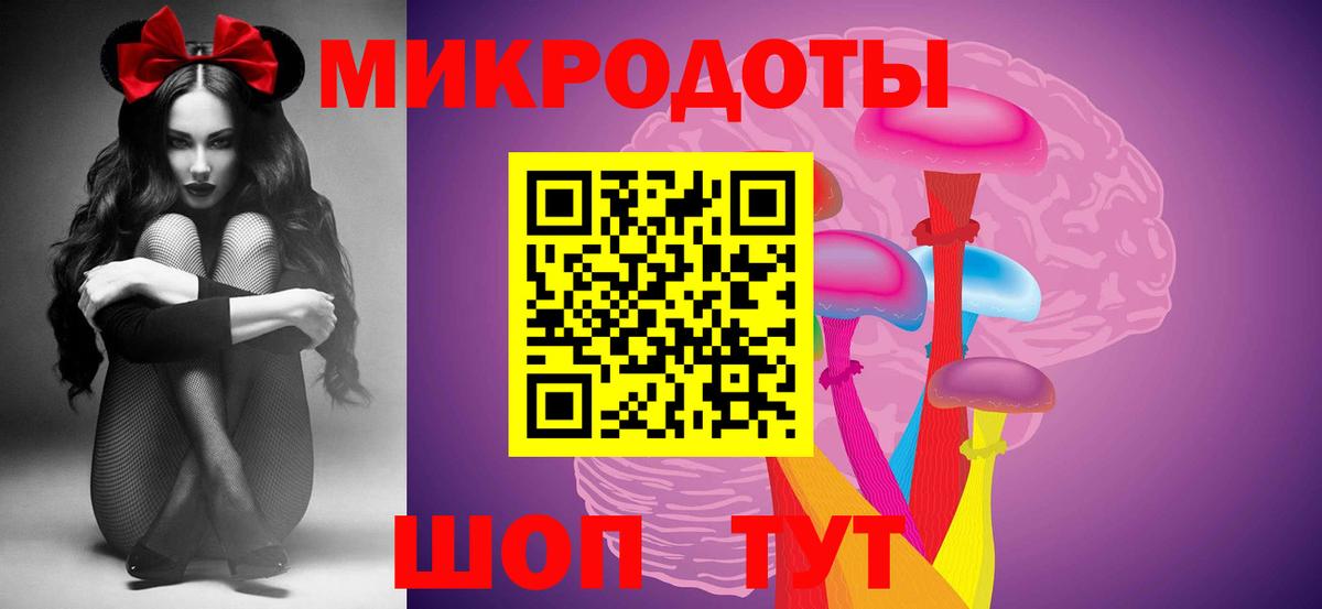 Псилоцибиновые грибы Psilocybine cubensis Заволжье